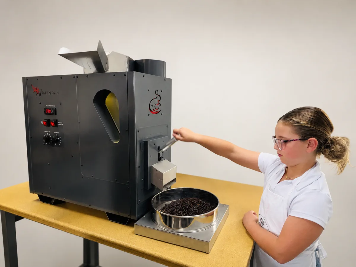 Roasted beans being discharged from the roaster into the cooling tray.